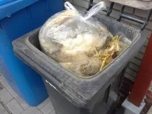 Vom Schaf zum fertigen Produkt der Rest vom Waldschaf - ab damit in die Tonne