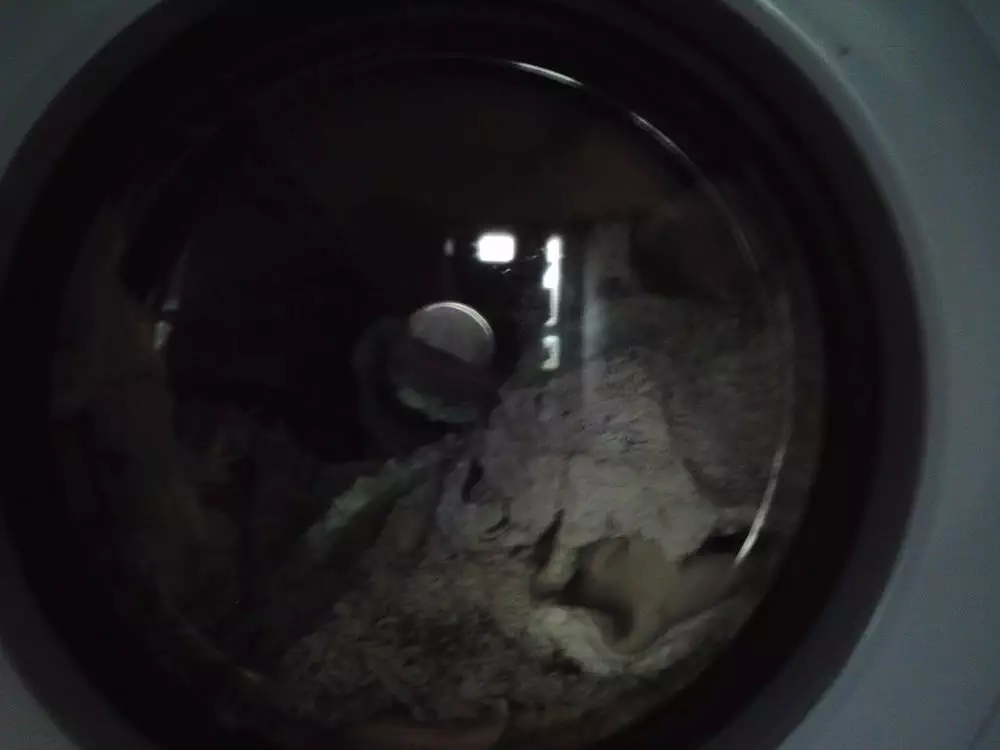 Waschmaschine mit Möppe